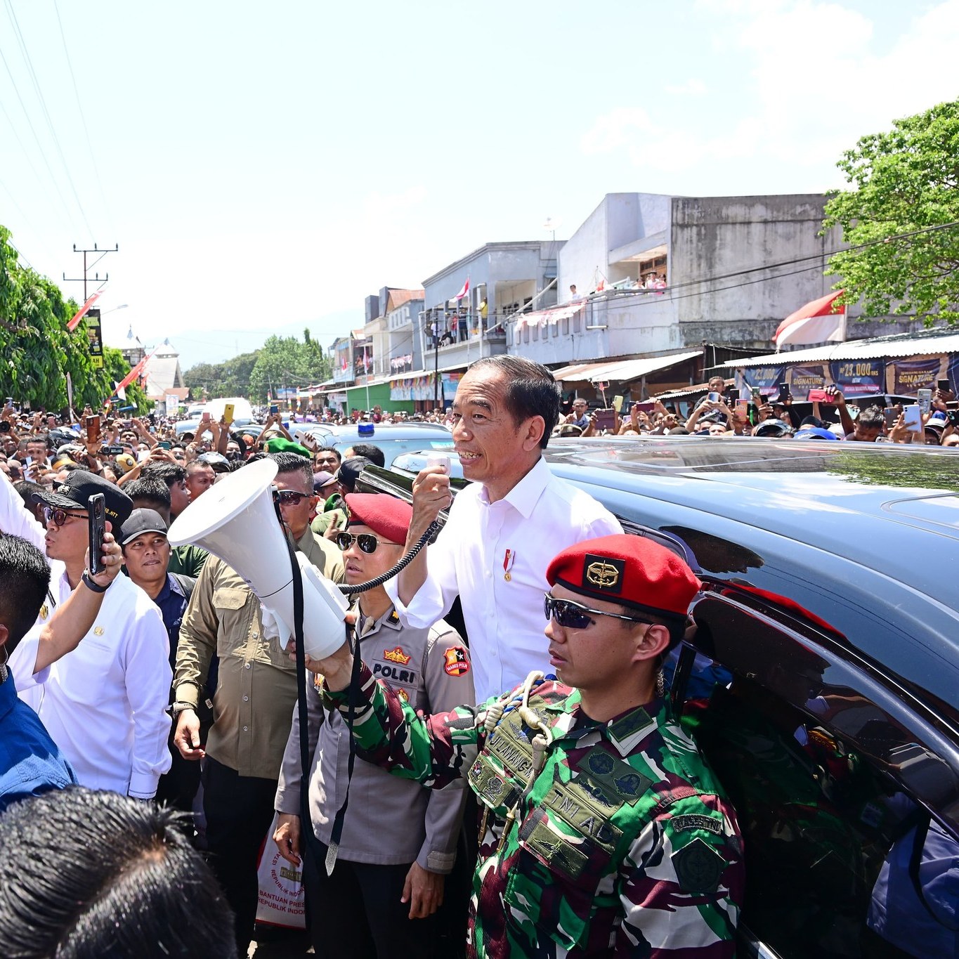 461987029_857646483217107_90004023996265561